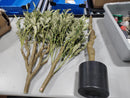ANTING 6FT ARTIFICIAL OLIVE TREES INDOOR LARGE FAUX OLIVE TREE WITH POT - BLACK - Like New