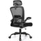 FelixKing Ergonomic Office Chair, Headrest Desk Chair - Pink - Scratch & Dent
