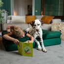 NOAH & PAW LARGE DOG BED, ORTHOPEDIC MEMORY COOLING FOAM - Scratch & Dent