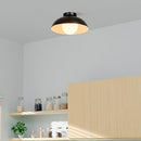 1-Light Flush Mount Ceiling Light White Opal Glass Shade B0C78DQPYR - Black - Brand New
