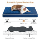 WNPETHOME Orthopedic Dog Bed with Removable Washable Cover Extra Large(Blue) - Brand New