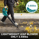 WESTLEY LEAF BLOWER CORDLESS WITH 2 * 20V BATTERY AND CHARGER LU10 - BLUE - Like New