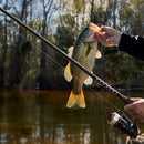 KastKing Brutus Fishing 7ft Medium Heavy Fast 2pcs - B07PZBHBZ7 - Like New