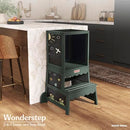 Dream On Me Fisher-Price Wonderstep 2-in-1 Convertible Toddler Tower - Green - Like New