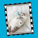 FATCAT TADPOLE STUFFED 100% ORGANIC CATNIP INTERACTIVE CAT TOY GREEN - 31833 - Brand New