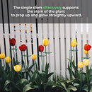 18" Tall 5 Stakes Plant Stake Support Garden Single Stem Support Stake - Brand New