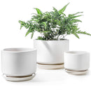 LE TAUCI Ceramic Plant Pots, 4.3+5.3+6.8 inch, Set of 3, Planters, White - Like New