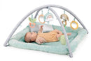 INGENUITY CALM SPRINGS PLUSH ACTIVITY GYM BABY ULTRA-SOFT PREMIUM MAT - GREEN - Like New
