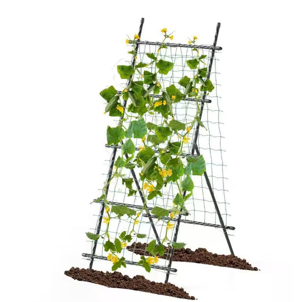 COSTWAY 75 IN. METAL GARDEN CUCUMBER TRELLIS FOR PLANT CLIMBING - BLACK/GREEN - Like New
