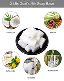 Aoibrloy DIY Soap Making Kit for Adults Beginner B095HBP8Z4 - Multicolor - Like New