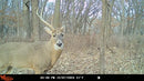 WILDGAME INNOVATIONS INSITE-V 3-PACK CELLULAR TRAIL CAMERA 32 MP, 80FT - GRAY - Like New