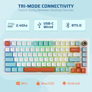 LTC NIMBLEBACK NB832 WIRELESS 75% GASKET MECHANICAL KEYBOARD - WHITE BLUE RED - Like New