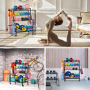 LUGO DUMBBELL STORAGE RACK STAND WHEELS HOOKS SPORTS EQUIPMENT ORGANIZER - BLACK - Like New