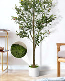 LuceAlberi 5FT Artificial Olive Tree Indoor Tall Faux with Planter - Olive Tree - Like New