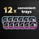 CESAR FILLETS IN GRAVY WET DOG FOOD 3.5 OZ TRAYS 12 PACK - BLACK - Brand New