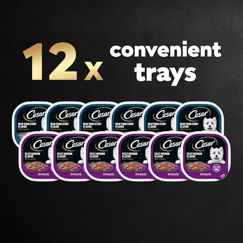 CESAR FILLETS IN GRAVY WET DOG FOOD 3.5 OZ TRAYS 12 PACK - BLACK - Brand New