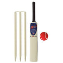 CE Junior Wooden Cricket Bat Gift Sets Young American Size 4 & 6 (Size 4) - Brand New