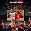 Projector Screen with Stand 120 inch 16:9 HD 4K Outdoor Indoor Projection Screen - Like New