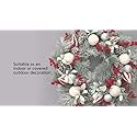 NATIONAL TREE HGTV HOME COLLECTION FROSTED TRADITIONS WREATH 28" UNLIT - RED - Like New