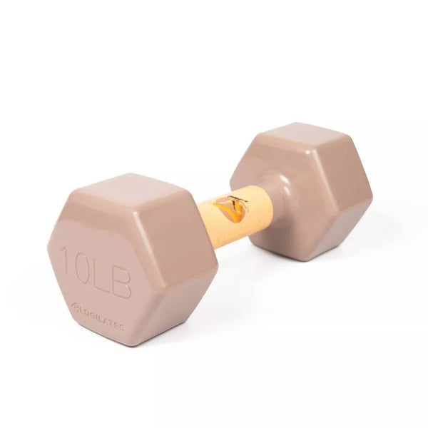 BLOGILATES JELLY HAND WEIGHT DUMBBELL, 10LB - PINK - Scratch & Dent