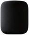 Apple HomePod 1st Generation Smart Speaker MQHW2LL/A - Space Gray Like New