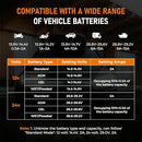 PZ.P 12V 24V Manual Battery Charger Maintainer, 0 to 15A, Desulfator, Orange - Like New