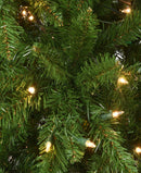 NATIONAL TREE COMPANY 7.5' PEYTON SPRUCE TREE WITH CLEAR LIGHTS - GREEN - Like New
