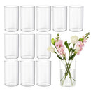 Devilfire 12 Inches Tall (30 cm) Clear Glass Cylinder vases (12 Pack-12 Inches) - Brand New