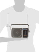 PANASONIC RF-2400 AM/FM RADIO - SILVER - Like New