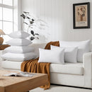 Basic HOME Hotel-Style 26x26 Goose Feather Down Euro Pillow Insert 2-Pack - Brand New