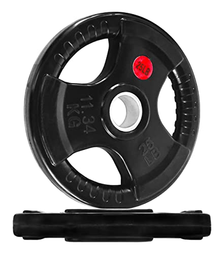 SIGNATURE FITNESS OLYMPIC 2-INCH CAST IRON PLATE WEIGHT PLATE - - Scratch & Dent