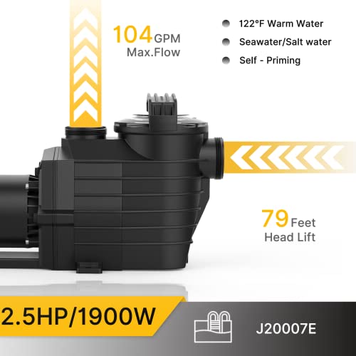 IVY&LANE 2.5 HP DUAL SPEED POOL PUMP 6240GPH MAX FLOW 79FT HEAD LIFT 230V AC - Like New