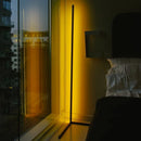 Overstock 55" RGB Metal Corner Lamp Minimalist LED Floor Lamp 1 Lamp FLRL0920-BK - Like New
