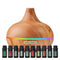 GENERIC ULTIMATE ESSENTIAL OIL DIFFUSER & OILS MODERN TIMER AMBIENT LIGHT - Like New