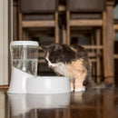 Petmate Fresh Flow Rain Battery Fountain for Cats and Dogs, 75 oz - WHITE - Like New