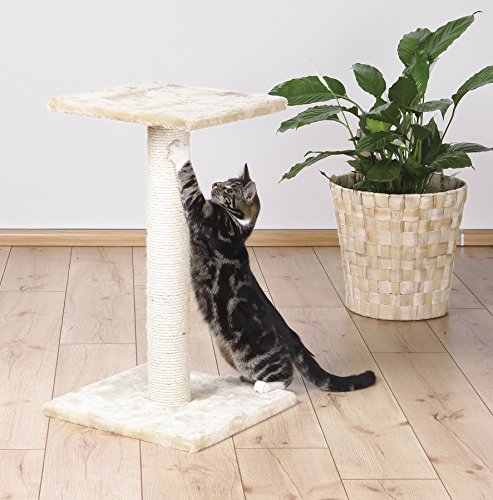 TRIXIE PET PRODUCTS ESPEJO SCRATCHING POST MEDIUM 16 X 16 X 27 IN - GRAY - Like New