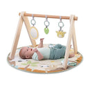 INGENUITY WONDERS INGENUITY WONDER & WOOD TOY ARCH & MAT - MULTI COLOR/BEIGE - Like New