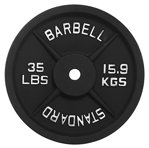 FITVIDS CAST IRON PLATE WEIGHT STRENGTH TRAINING WEIGHTLIFTING MULTIPLE SIZES - Like New