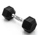 GENERIC 10LBS DUMBBELL - BLACK - Like New