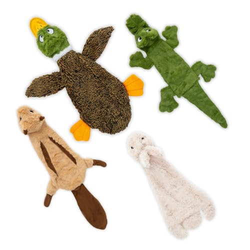Best Pet Supplies 2-in-1 Stuffless Squeaky Dog Toys with Soft, Durable Fabric - Brand New