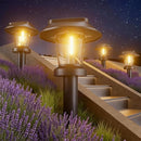ALEPOD SOLAR PATHWAY LIGHTS OUTDOOR 10 PACK SOLAR POWERED GARDEN LIGHT-BLACK - Like New