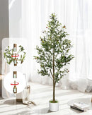 LuceAlberi 5FT Artificial Olive Tree Indoor Tall Faux with Planter - Olive Tree - Like New