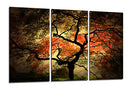B06XCBBC1H - Yin Art - Brand New