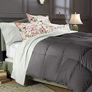 Balsara's Comforter 100% Egyptian Cotton 800 Thread Count 400GSM Fiber Fill - Brand New