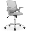 OLIXIS Wheels Ergonomic Home Office Flip-up Arms and Lumbar Support - Grey - Like New