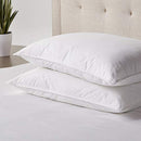 Standard Textile Chamberfirm Down-Alternative Pillow, Set of 2 (King) - Brand New