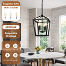 BrightHome Farmhouse Chandelier 4-Light, D3560-04-BK - Black - Like New