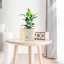 SuherHomey Plant Pots 8 Inch Flower Pot Indoor/Outdoor Large Pots 5 Pack White - Brand New
