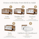 DELTA CHILDREN MAYA 5-IN-1 CONVERTIBLE CRIB AND CHANGER WITH STORAGE - CHESTNUT - Like New