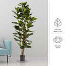 PURE GARDEN ARTIFICIAL FIDDLE LEAF FIG TREE, 72”, 50-LG1119 - GREEN - Like New